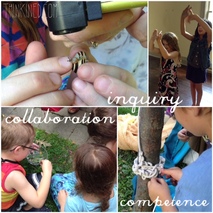 Inquiry Collaboration Competence